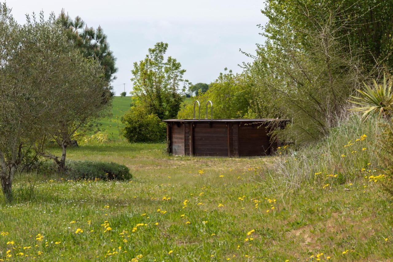Catonvielle La Decouverte, Jacuzzi, Sauna, Et Terrasse Avec Vue Sur Lac A La Campagne Entre Toulouse Et Auch מראה חיצוני תמונה