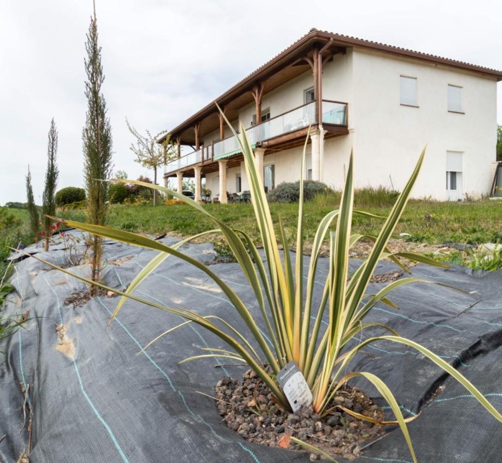 Catonvielle La Decouverte, Jacuzzi, Sauna, Et Terrasse Avec Vue Sur Lac A La Campagne Entre Toulouse Et Auch מראה חיצוני תמונה